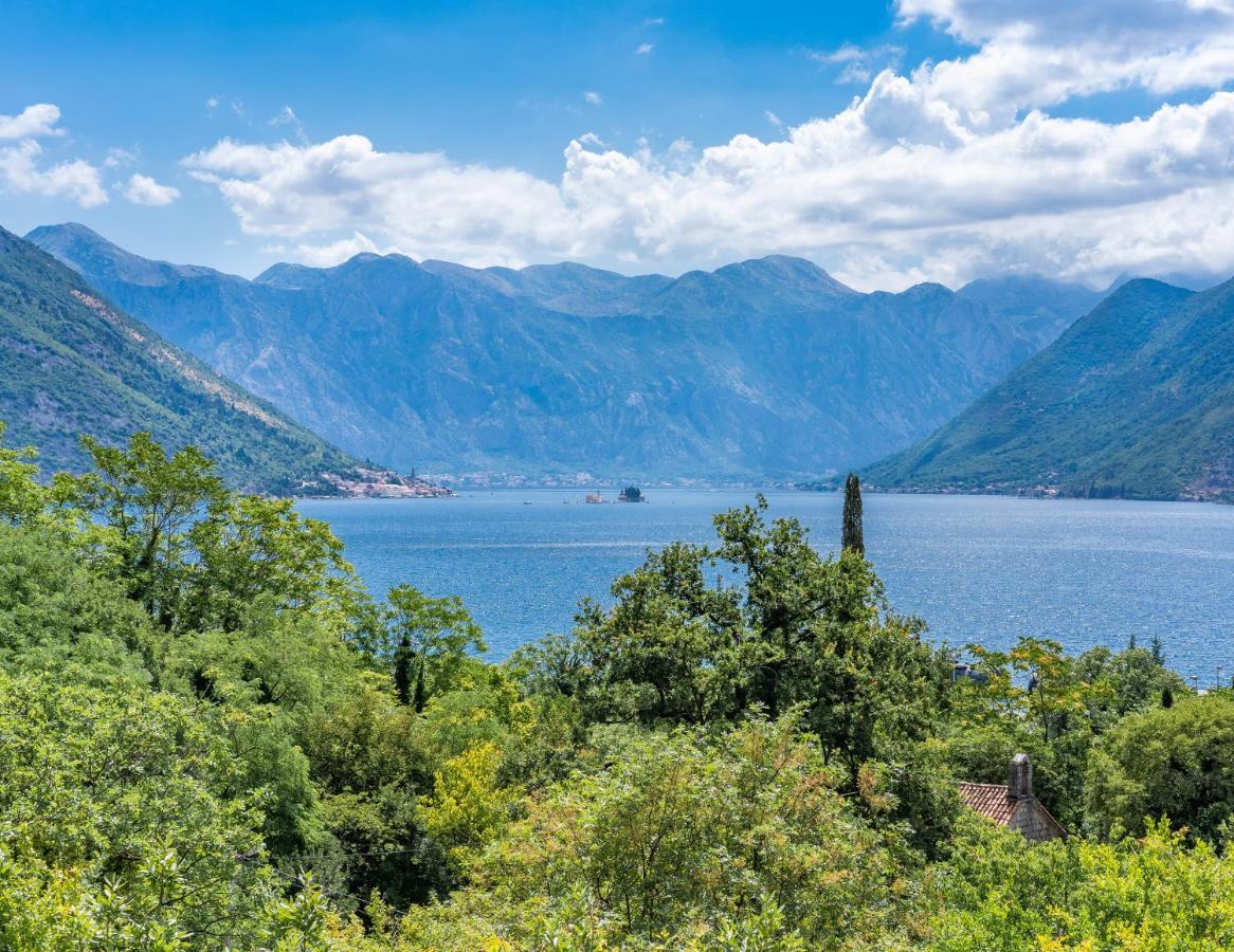 Villa Amfora Lipci Bagian luar foto